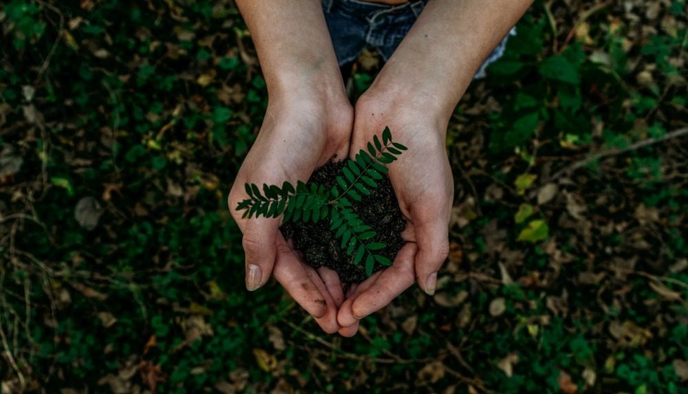 Benefits of volunteering CREDIT Noah Buscher on Unsplash_picmonkeyed