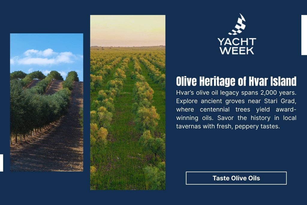 Image promoting Yacht Week with aerial views of olive groves on Hvar Island, text "Olive Heritage of Hvar Island" detailing a 2,000-year legacy and invitation to taste olive oils.